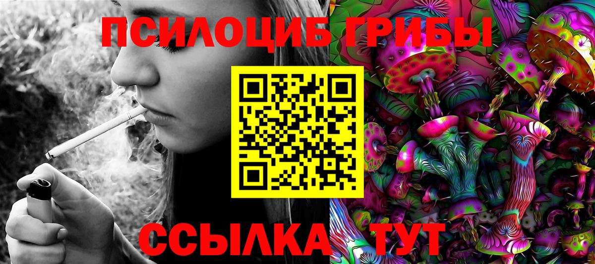 Сертолово  Псилоцибиновые грибы Cubensis  Вход с VPN 