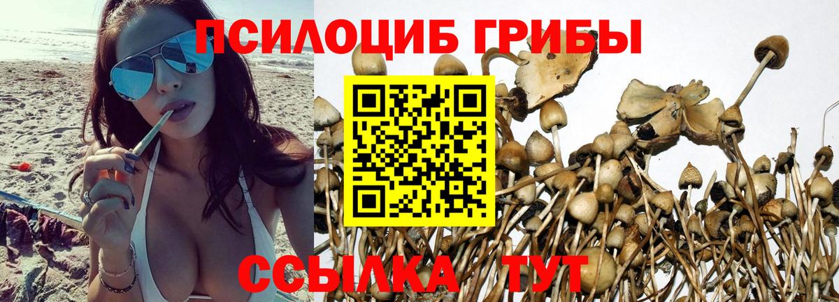Псилоцибиновые грибы прущие грибы Сертолово